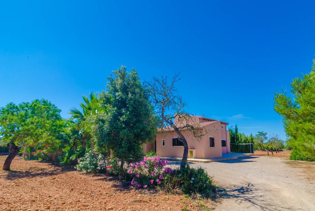 קמפוס Finca Rustica Arcos מראה חיצוני תמונה