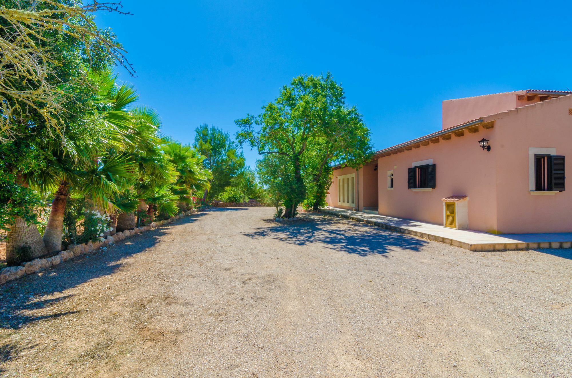 קמפוס Finca Rustica Arcos מראה חיצוני תמונה